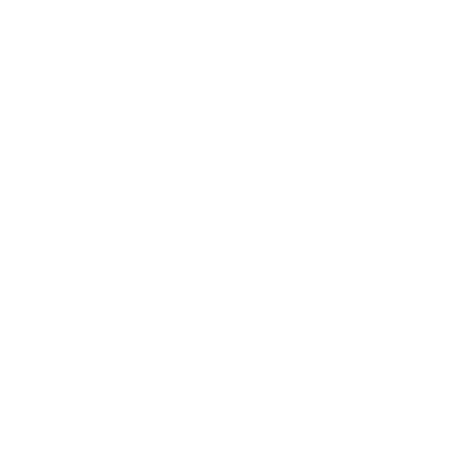Customers experience icon